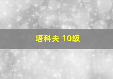 塔科夫 10级